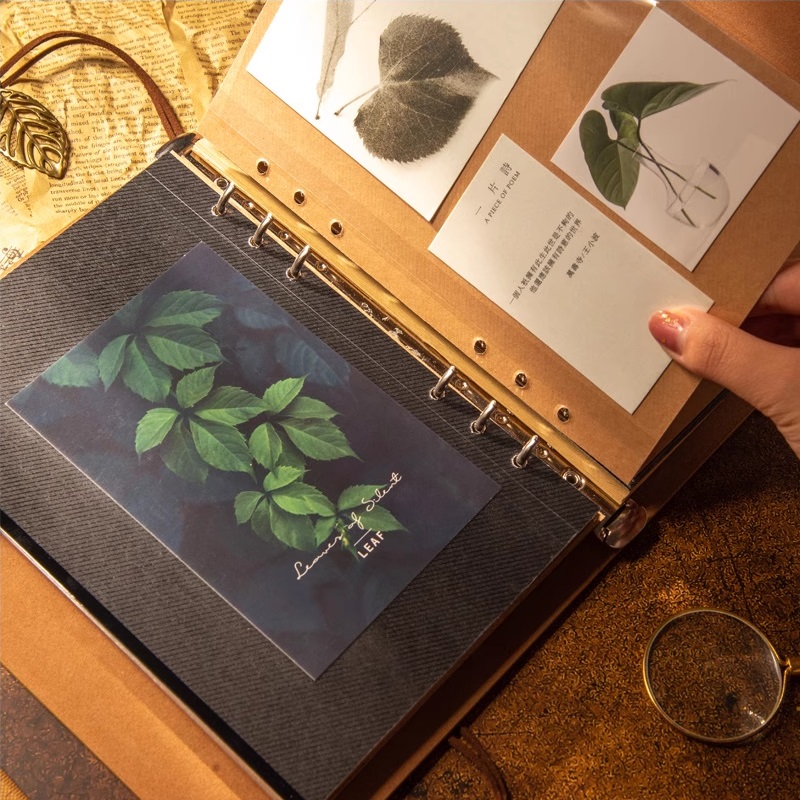 Albumy fotograficzne Scrapbook – Collectible Vintage Photos recenzja i cena